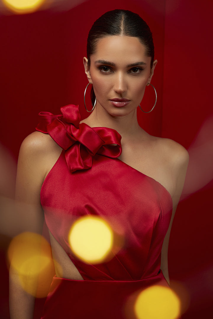 Vestido Longo Regina Salomão