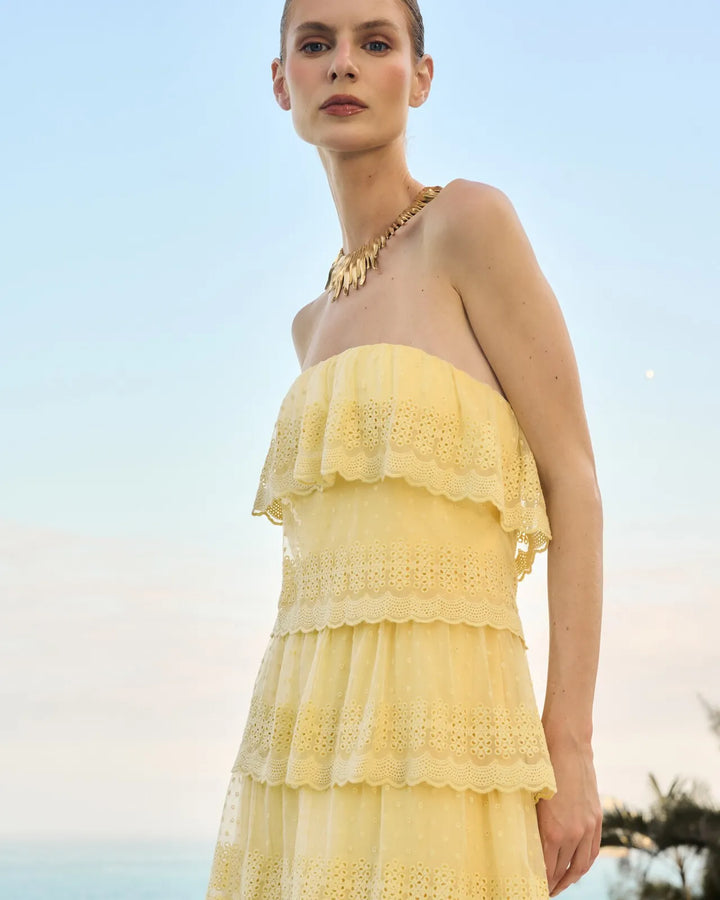 Long Embroidered Ruffled Dress