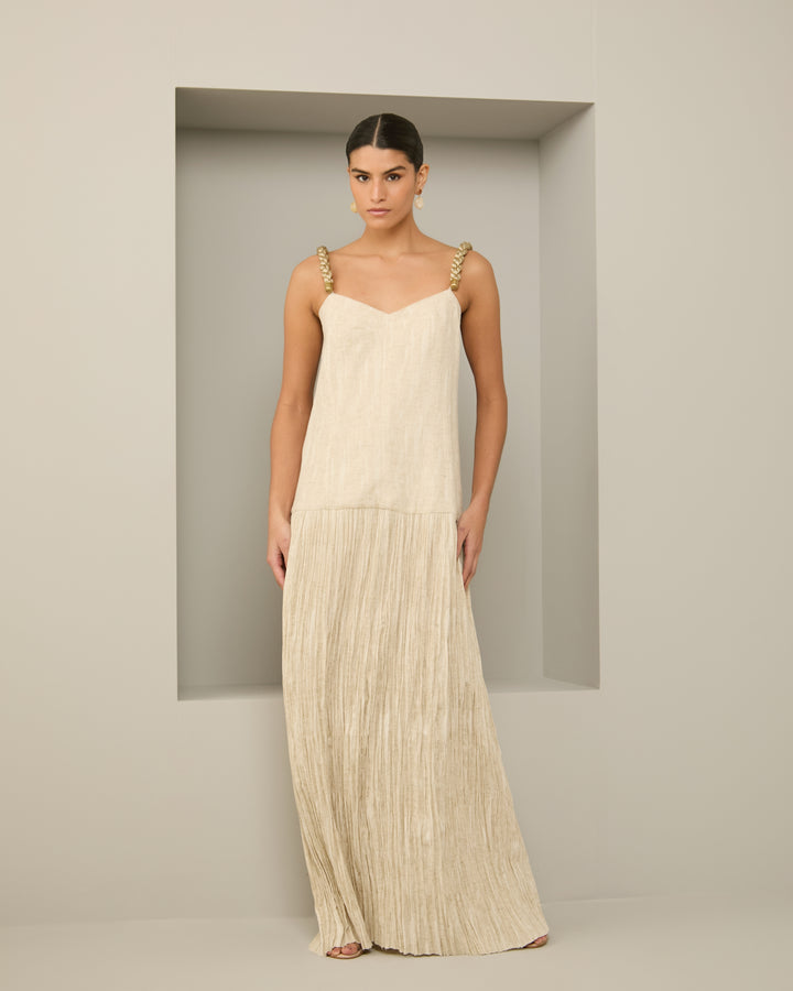 Anne Fernandes Long Dress