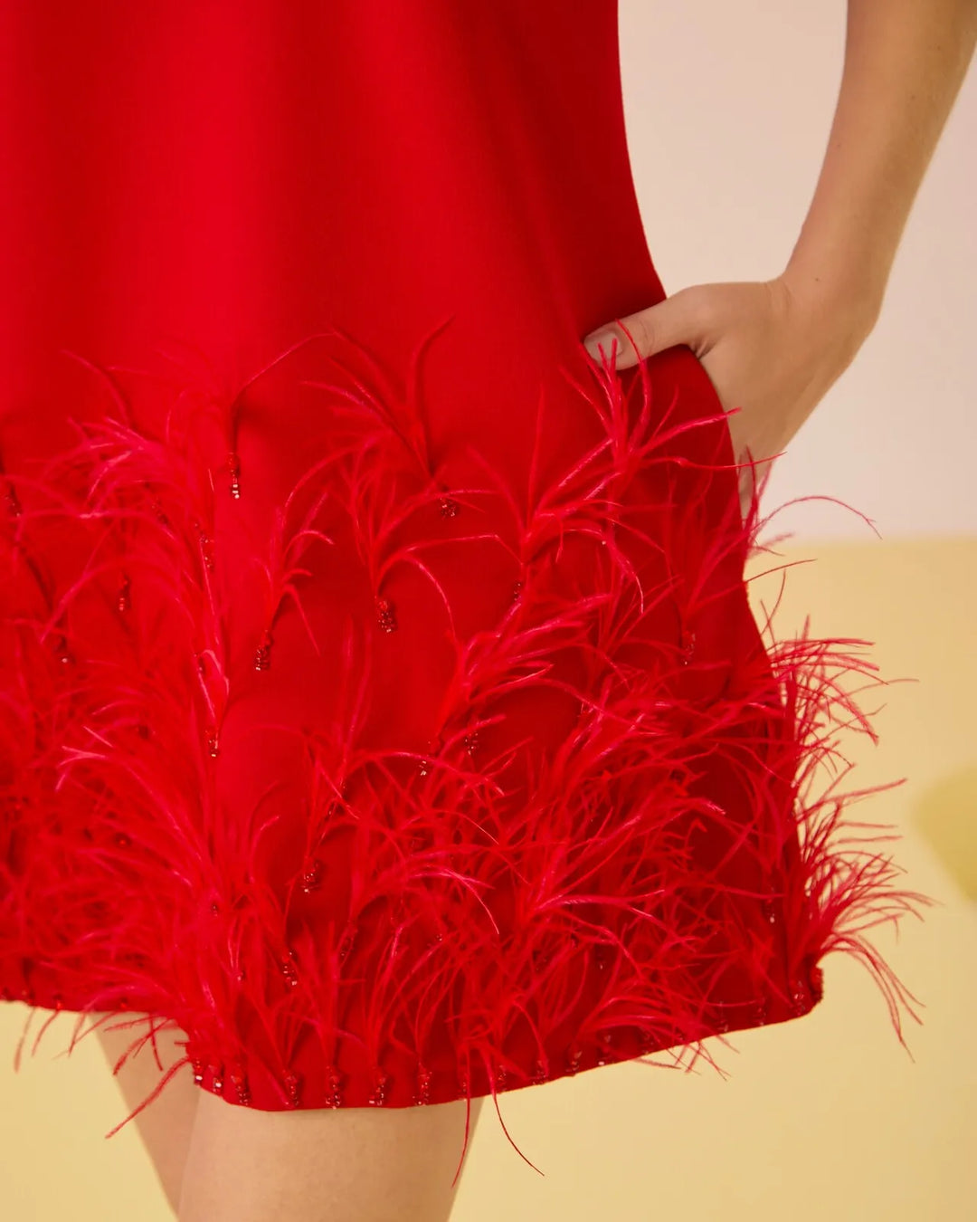 Short Feather Dress