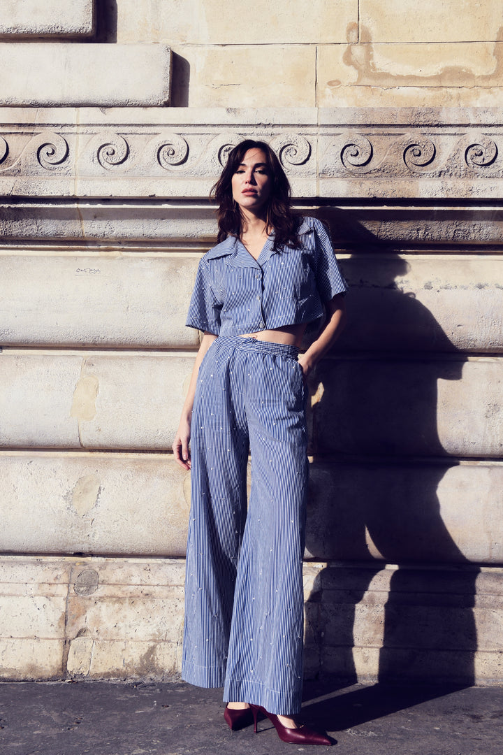 Embroidered Cropped Top+Pants Set